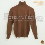 Sweater Turtle Neck