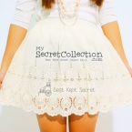 Skirt Embroidered